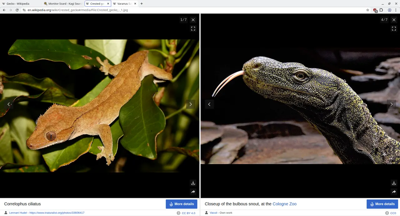 Viewing Wikipedia articles with image galleries