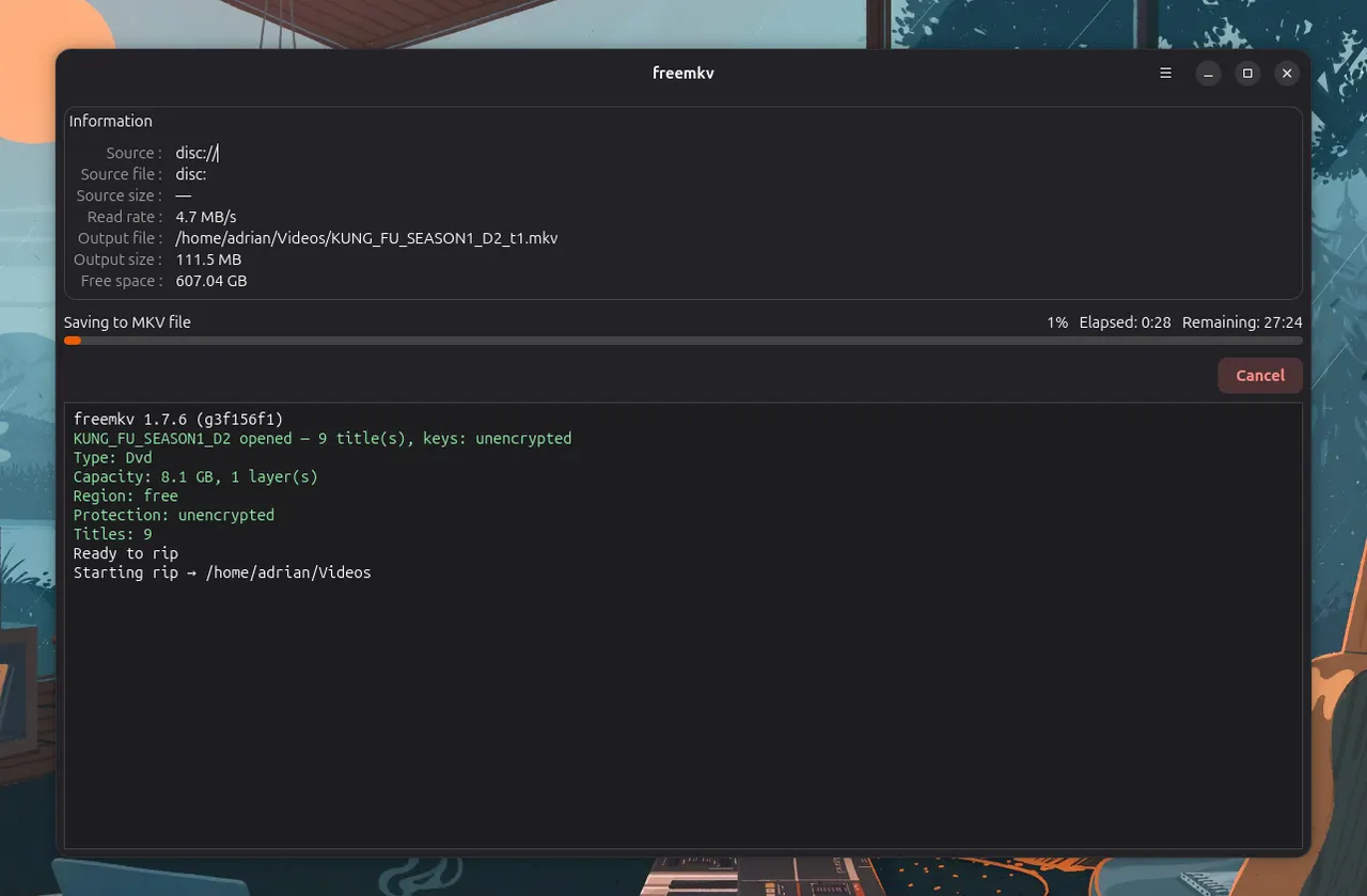 Ripping a disc with progress and output information