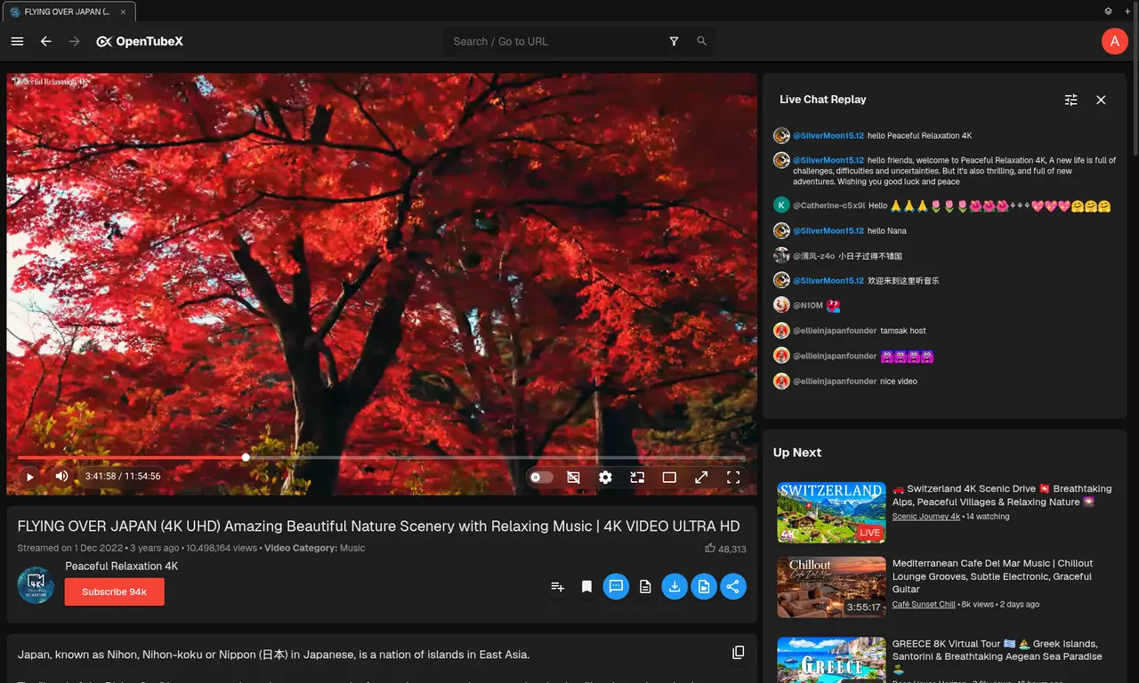 Watching a video (dark theme)